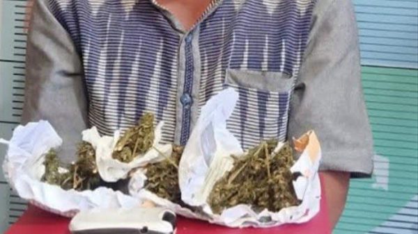 Miliki 3 Paket Ganja, Petani Pidie Jaya Dibekuk Polisi