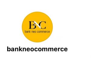 Rekrutmen Penulis Artikel Manajemen Keuangan BNC Telah Hadir