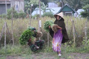 Babinsa Kodim 0111/Bireuen Bantu Tingkatkan Ketahanan Pangan di Ditengah Masa Pandemi