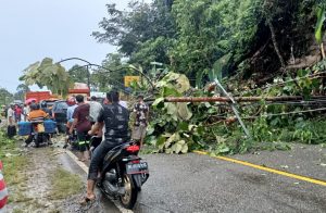 Longsor Terjang Jalan Gunong Samarinda Abdya