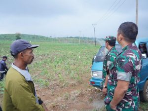 Peduli Kesejahteraan Rakyat, Pangkostrad Tinjau Penanaman Jagung dan Projek Hidram di Sukabumi