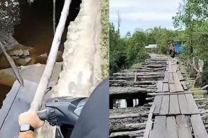 Kondisi Mengerikan Jembatan di Riau, Salah Langkah Auto Beda Alam