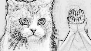 Dipaksa Cabuli Kucing, Bocah di Tasikmalaya Meninggal