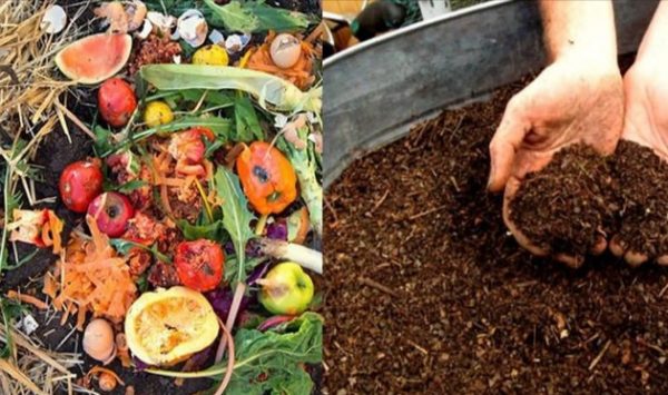 Cara Membuat Pupuk Kompos Sendiri dari Daun dan Sampah Organik Dapur
