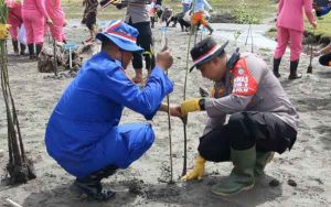 Polri Tanam 77 Ribu Pohon Mangrove di Pesisir Pantai Abdya