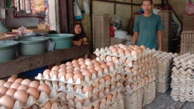 Harga Telur Ayam Mulai Turun di Abdya, Gairah Pembeli Masih Kurang
