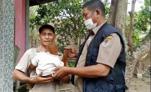 Warga Aceh Utara Serahkan Orangutan ke BKSDA