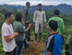 Lahan Pertanian Untuk Eks Kombantan Gam Mulai di Survei