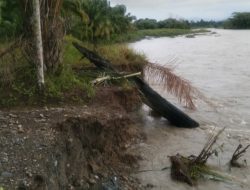 Erosi Krueng Babahrot Mengganas, Dua Desa Terancam Amblas