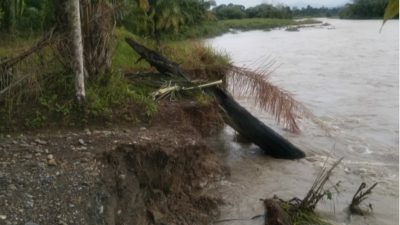 Erosi Krueng Babahrot Mengganas, Dua Desa Terancam Amblas