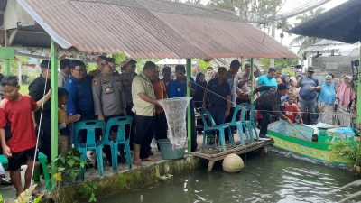 Panen Perdana Usaha Ikan Lele Menggiurkan Petani di Abdya