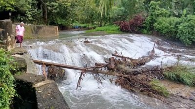 Irigasi Panto Tungku Ambruk Dihantam Banjir, Ratusan Hektare Tanaman Padi di Abdya Terancam