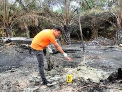 Sumur Minyak Tradisional Meledak, Tim INAFIS Polres Aceh Timur Olah TKP