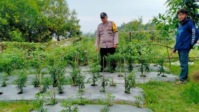 Polsek Muara Dua Pantau Lahan Warga