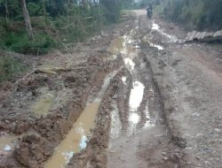 Jalan Penghubung di Pedalaman Aceh Timur Rusak Parah