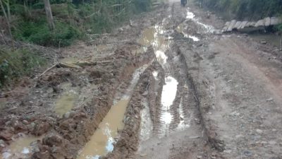 Jalan Penghubung di Pedalaman Aceh Timur Rusak Parah