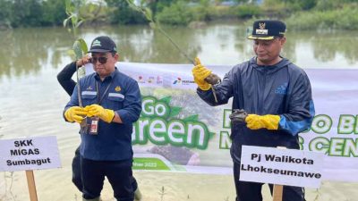 PHE NSO dan Unimal Tanam 5.000 Mangrove di DAS Krueng Cunda Lhokseumawe
