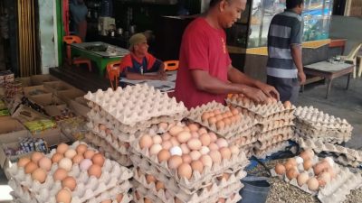 Harga Telur Ayam di Abdya Meroket Jelang Tahun Baru