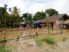 Terendam Banjir
