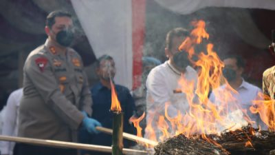 Polda Aceh Musnahkan 36 Kg Sabu dan 411 Kg Ganja