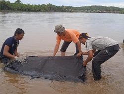 Korban Tenggelam di Sungai Lae Soraya Akhirnya Ditemukan