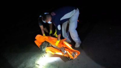 Heboh Warga Temukan Mayat Membusuk di Pantai Bantayan Seunuddon