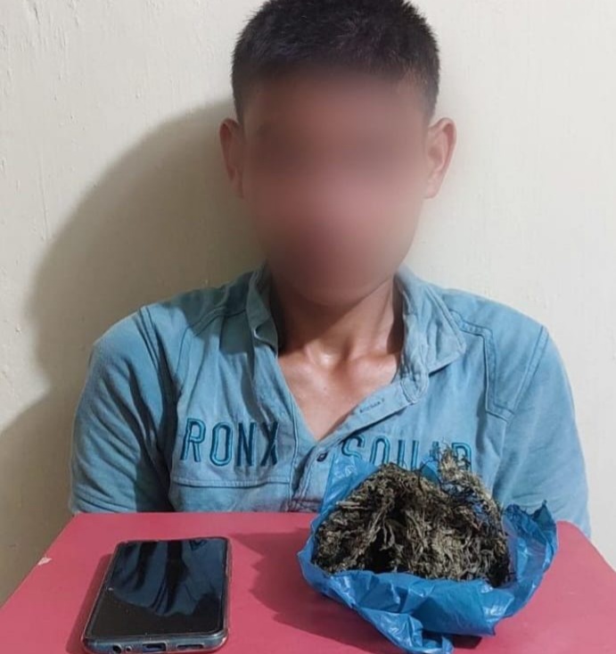 Pengedar Ganja di Aceh Singkil Ditangkap, Pelaku Sempat Melarikan Diri