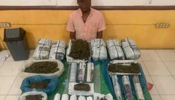 Pemilik Ganja