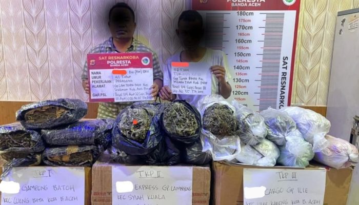 Polresta Banda Aceh Tangkap 2 Pengedar Narkoba 24 kg Ganja