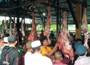 Harga Daging Sapi Hari Meugang di Pasar Hewan Panton Labu 180 Perkilo