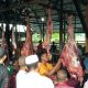 Harga Daging Sapi Hari Meugang di Pasar Hewan Panton Labu 180 Perkilo
