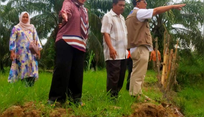 Tanggul Jebol di Cipare-Pare, DPRK Subulussalam: Harus Segera di Perbaiki