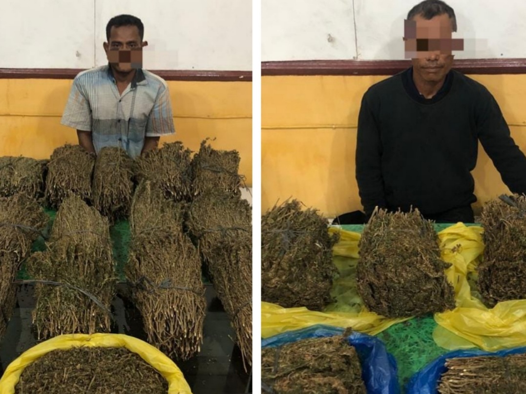 Pengedar Ganja