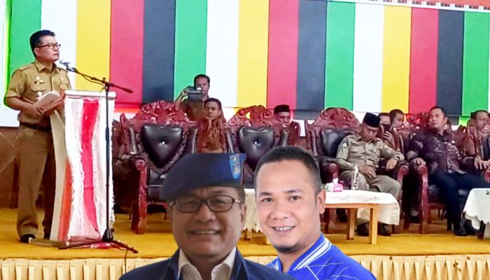 Dolly Tepis Hubungannya dengan Ketua Demokrat Subulussalam Kurang Harmonis