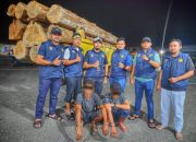 Angkut 10 Log Kayu Ilegal, Dua Pemuda Ditangkap Polda Aceh