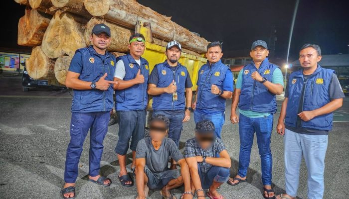 Angkut 10 Log Kayu Ilegal, Dua Pemuda Ditangkap Polda Aceh