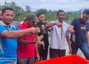 Manfaatkan Dana Desa, Budidaya Udang Vaname Panen Capai 3,5 Ton