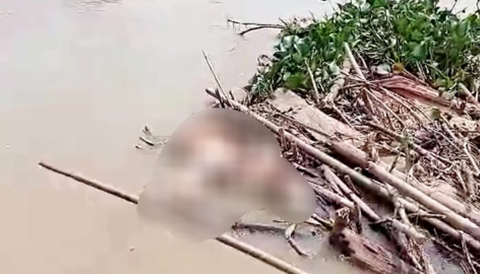 BREAKING NEWS: Warga Temukan Mayat Mengapung di Lae Mate Kecamatan Rundeng