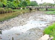Kuala Ujong Serangga Dangkal, Banyak Kapal Nelayan Rusak