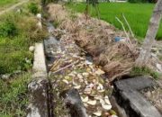 Jorok! Saluran Irigasi di Gampong Kepala Bandar Dipenuhi Sampah