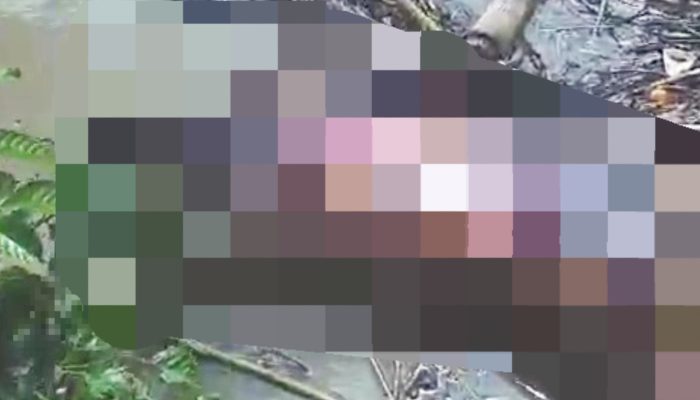 BREAKING NEWS: Mayat Mengapung Ditemukan Warga di Mandilam Rundeng