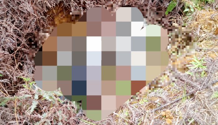 Pria Menghilang di Rantau Panjang Ditemukan Tak Bernyawa
