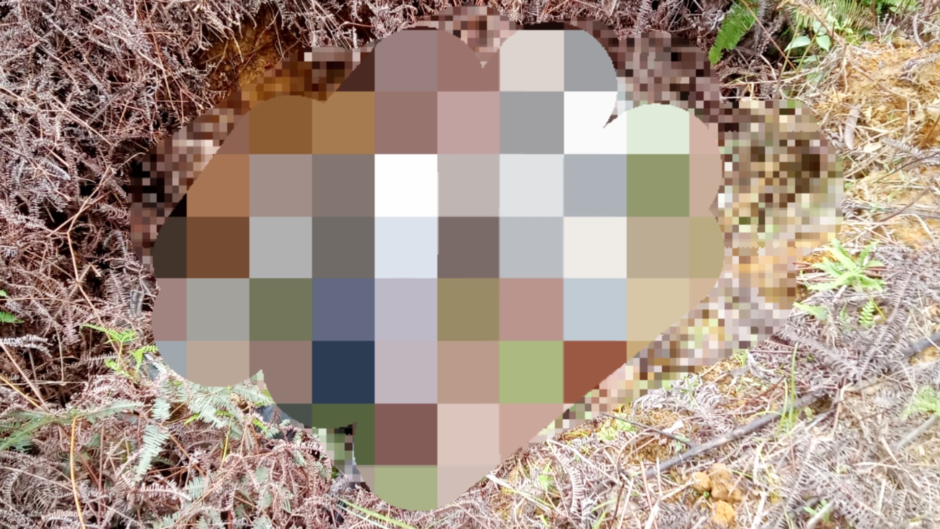 Pria Menghilang di Rantau Panjang Ditemukan Tak Bernyawa