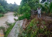 Tanggul Pencegah Banjir di Manggeng Ambruk Akibat Tergerus Erosi