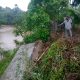 Tanggul Pencegah Banjir di Manggeng Ambruk Akibat Tergerus Erosi