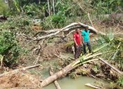 Sungai di Tangan Tangan Tertutup Sampah Kayu Usai di Terjang Banjir
