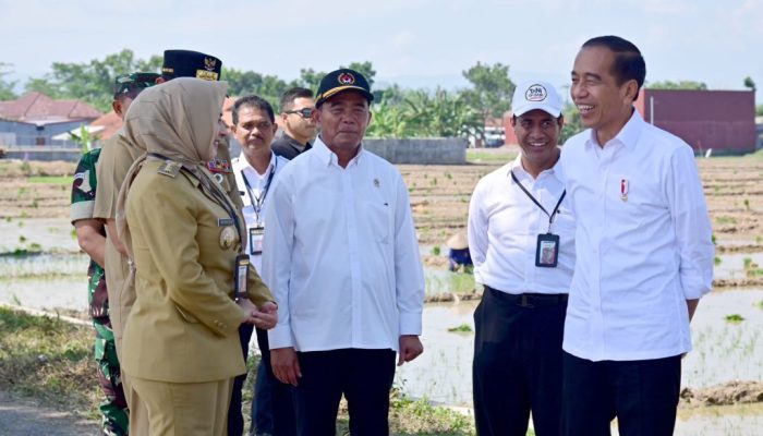 Dorong Produktivitas Petani, Pemerintah Tambah Subsidi Pupuk