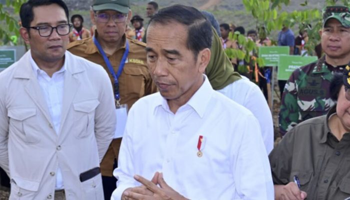 Presiden Tegaskan Penting Untuk Pantau Progres Proyek di IKN, Hotel Nusantara Selesai Tahun Depan