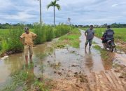 Selalu Terendam Banjir, Jalan Menuju Lahan Pertanian di Abdya Butuh Penanganan Serius