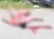 Seorang Warga Tertimpa Pohan Hingga Meninggal Dunia di Jalan Rundeng